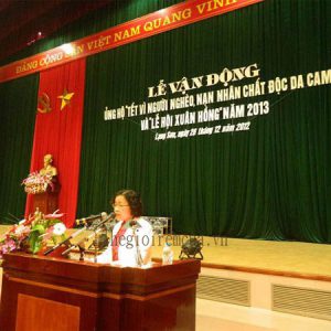 Phông màn hội trường MHT01 Phông màn hội trường MHT01