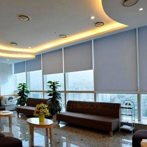 Rèm sáo cuốn văn phòng màu xanh mát dịu Rèm sáo cuốn văn phòng màu xanh mát dịu