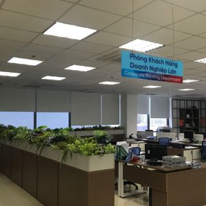 Rèm sáo cuốn văn phòng màu xanh mát dịu Rèm sáo cuốn văn phòng màu xanh mát dịu