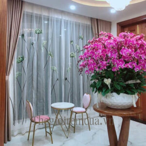 Rèm cửa 2 lớp chống nắng cho phòng khách Rèm cửa 2 lớp chống nắng cho phòng khách
