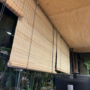 Rèm voan trắng ngăn giường Spa giá rẻ tại tphcm Rèm voan trắng ngăn giường Spa giá rẻ tại tphcm