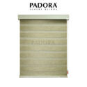 Padora Shanley 4
