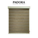 Padora Shanley 5
